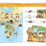 1_a15601-dj07420_world_s_animals_with_booklet_b_1000x800_1